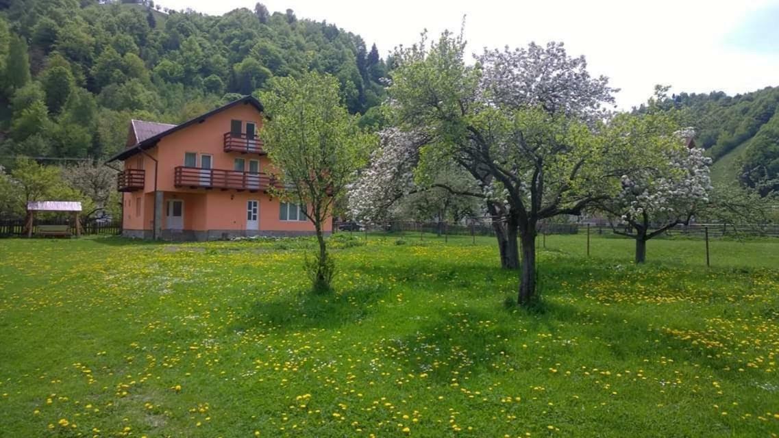 Отель Casa Keea Моечиу-де-Сус Экстерьер фото